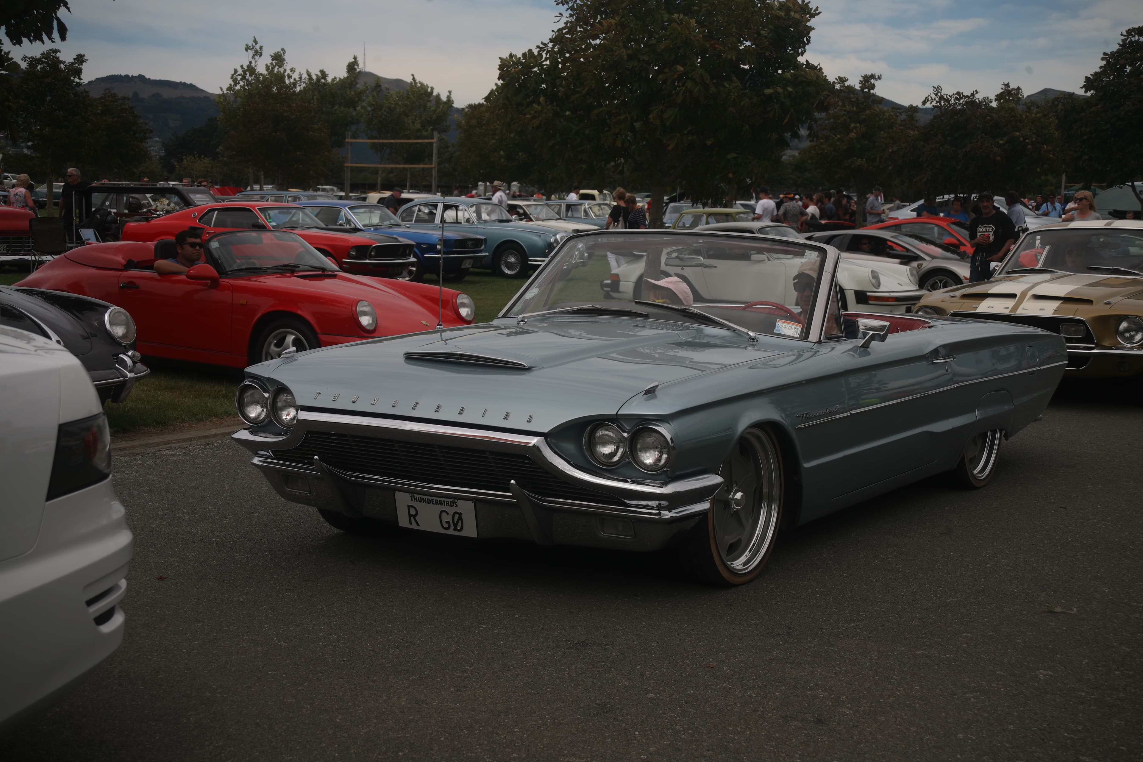 T Bird